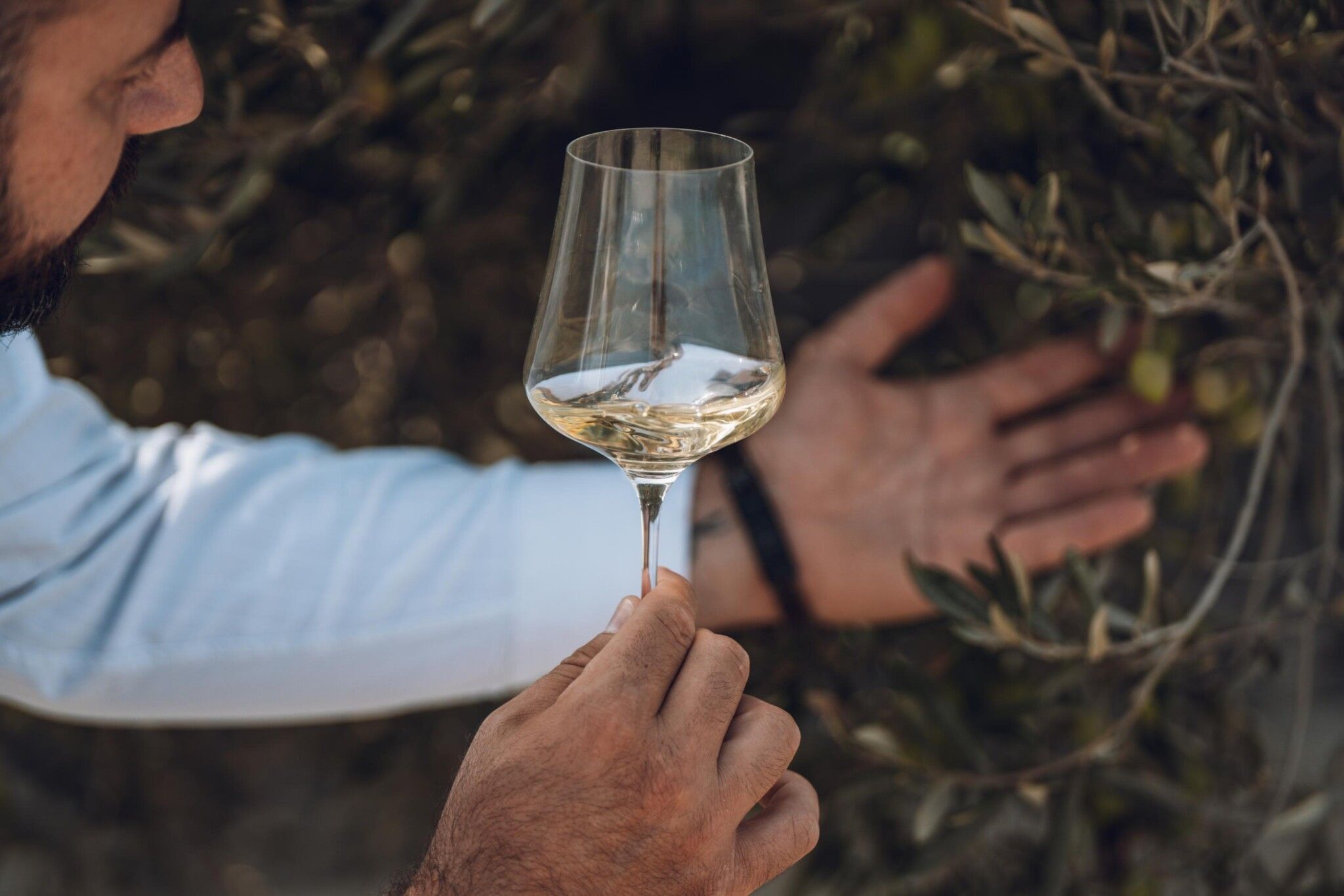 Wine_Tour_Stills-28-2048x1366.jpg